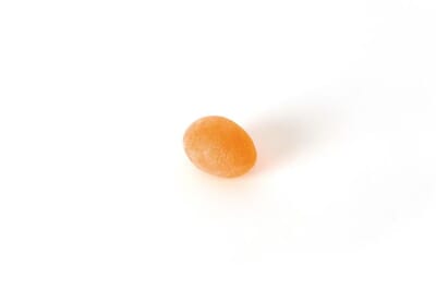 706566 _sissel_pressegg_.jpg