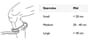 34108001_Rel element_stretch_up.jpg